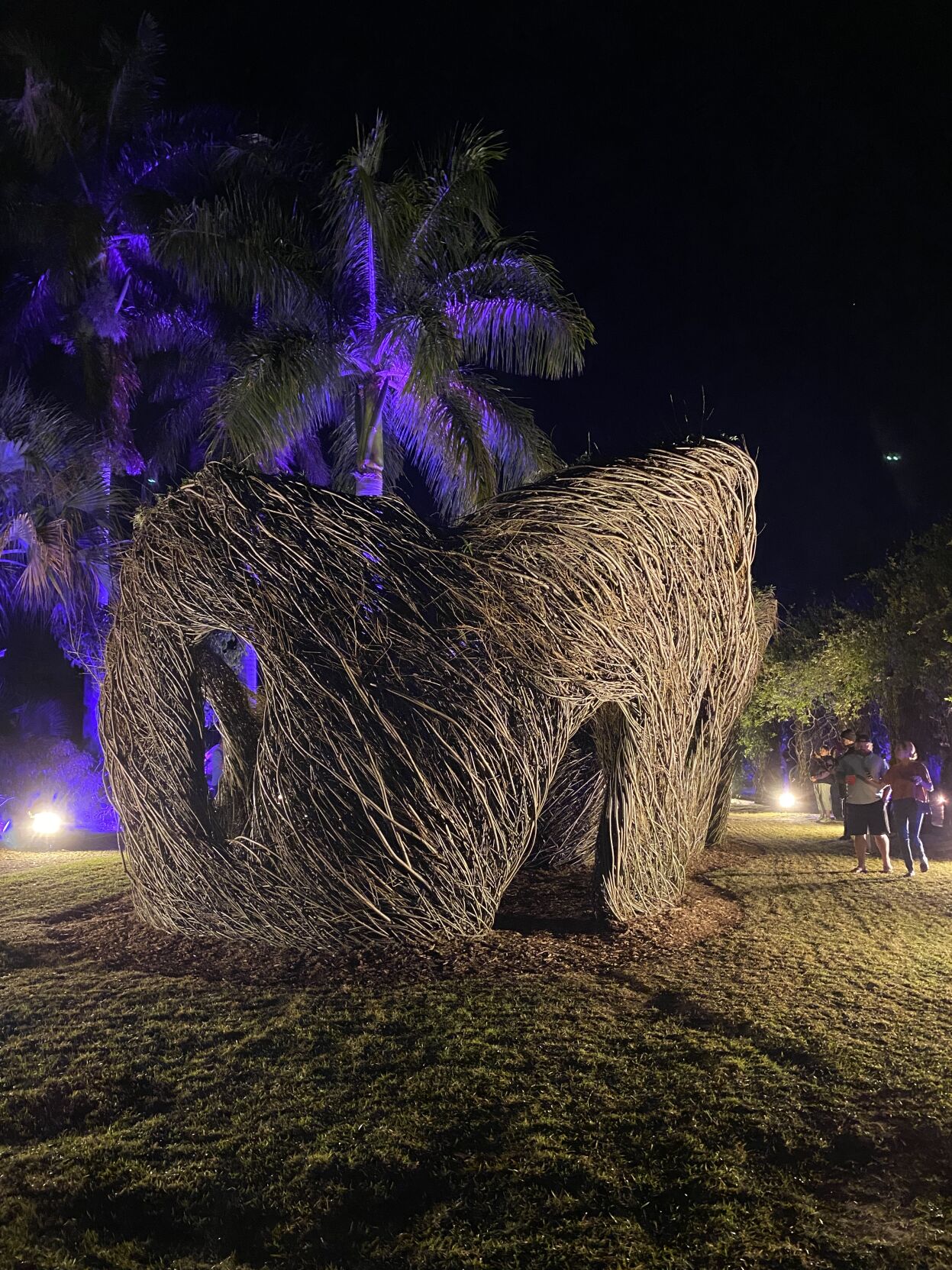 Wild About Willow 6. Stickworks during the Night Lights in the Garden, a must see holiday event..jpeg